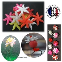 ASSORTIMENT PLUMES EVOLUTION CARP TACKLE CLUSTER - PAR 8