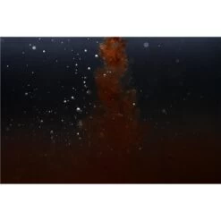 ATTRACTANT LIQUIDE STICKY BAITS CLOUDY BLOODWORM LIQUID -Pêche Séries Magasin attractant liquide sticky baits cloudy bloodworm liquid z 2666 266630 3