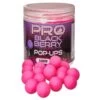BOUILLETTE FLOTTANTE STARBAITS PRO BLACKBERRY POP UP