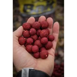 BOUILLETTE SOLAR SHELF-LIFE CHILLI FISH BOILIES 16MM & 20MM MIXED -Pêche Séries Magasin bouillette solar shelf life chilli fish boilies 16mm 20mm mixed z 2439 243986 2