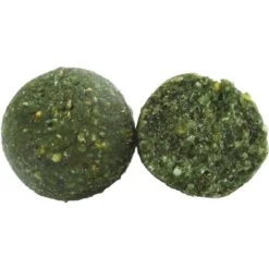 BOUILLETTE TUBERTINI COMPETITION MUSSEL-FISH