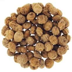 GRAINE SÈCHE CAP RIVER TIGERNUTS