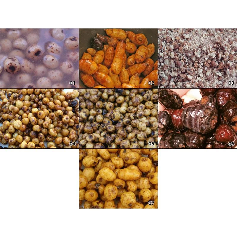 GRAINE SECHE NATURAL BAITS TIGERNUTS 3 GRAINE SECHE NATURAL BAITS TIGERNUTS