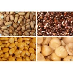 GRAINE SECHE NATURAL BAITS