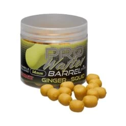HOOKBAIT STARBAITS PROBIOTIC PRO GINGER SQUID WAFTER BARREL