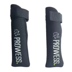 PROTECTION POINTES PROWESS