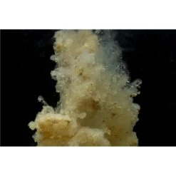 STICK MIX STICKY BAITS MANILLA ACTIVE MIX -Pêche Séries Magasin stick mix sticky baits manilla active z 2666 266642 3